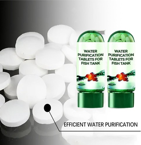 Aquarium fish tank - aquarium,