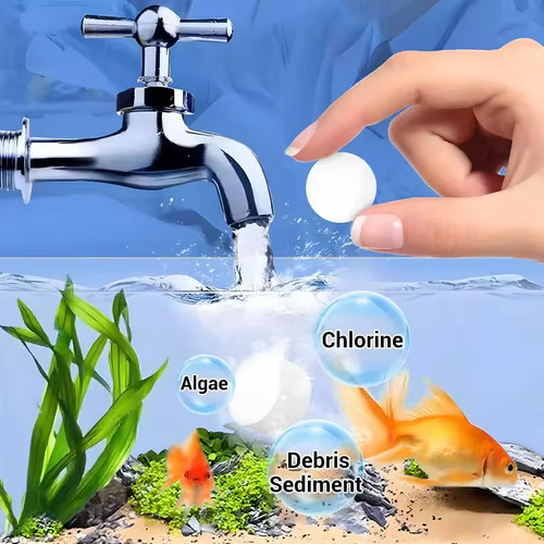 Aquarium water purification - aquarium,