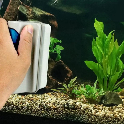Aquarium fish tank - fish, floating
