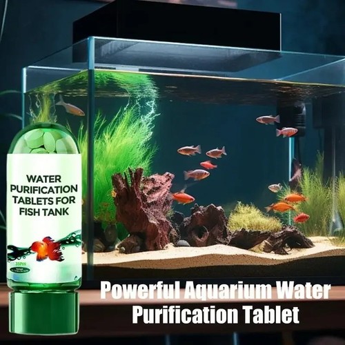 Aquarium fish tank - fish, water