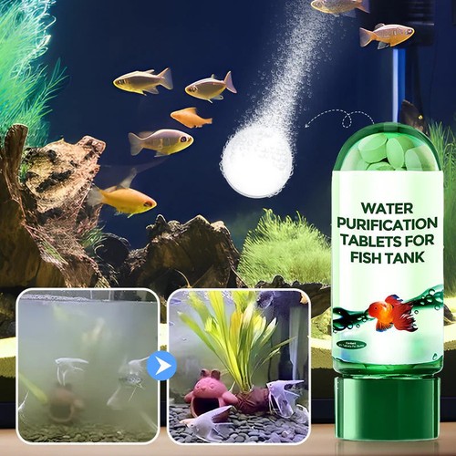Aquarium water purification - aquarium,