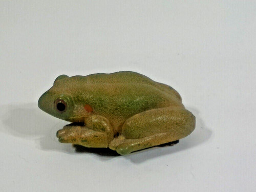 Kordon green frog aquarium - kordon,